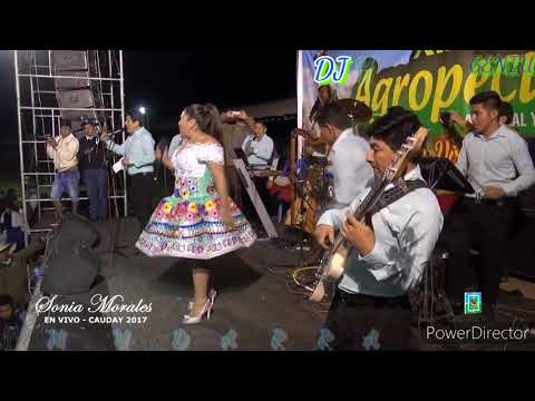 Cerveza Ron Y Guinda - Sonia Morales