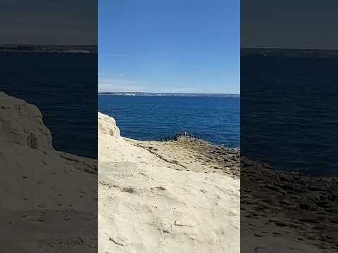 Cormoranes Imperiales Puerto Madryn Chubut