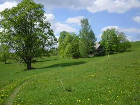 Ó, řebíčku zahradnický