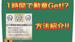 【無限入手】勲章「猟具生物の大絵皿」の最速＆簡単な入手方法【MHRise】【モンスターハンターライズ】