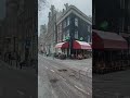 Winter Beauty In Amsterdam
