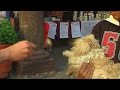 Dogs Cats And Other Animals Head To Church In Mexico City To Be Blessed