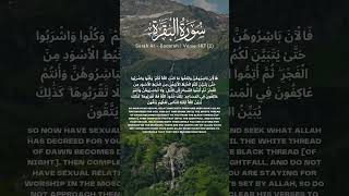 Download lagu Surah Al Baqarah verse 187 (2) [Recitation of Quran] #quranrecitation #quranverses #translation mp3