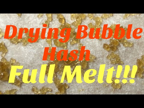 How to dry bubble hash - full melt bubble hash - drying full melt Video