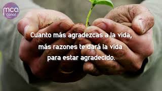 El poder de la Gratitud MCA Canal