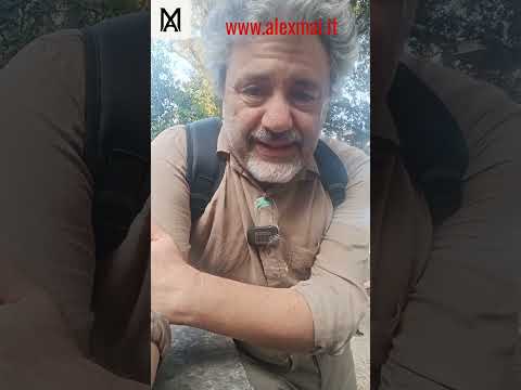 I poteri oscuri della politica secondo Chatgpt