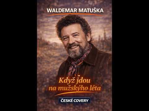 Když jdou na mužskýho léta ???? Waldemar Matuška | SHORTS | Rock Cover | ČESKÉ COVERY