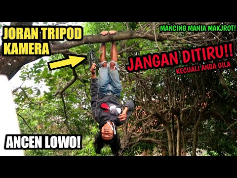 edan-mancing-ikan-pakai-tripod-sambil-atraksi-circus-ikannya-pada-ngumpul-pertama-di-dunia