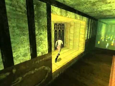 Tomb Raider Custom Level Speedrun - The Madhouse - 10:02