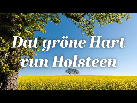 Dat gröne Hart vun Holsteen - Ensemble Vocoder