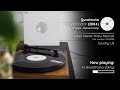 Quasimoto (Madlib) - Broad Factor (2004, 12" Single) | Full Vinyl Rip