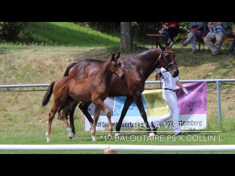 SF v. Baloutaire PS x Collin L