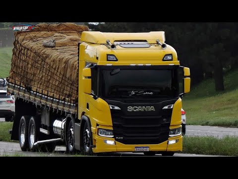 REGGAE DO MARANHÃO-melo de stay-PIU PIU FILMS!😍