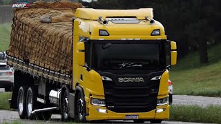 Download lagu REGGAE DO MARANHÃO-melo de stay-PIU PIU FILMS!😍 mp3