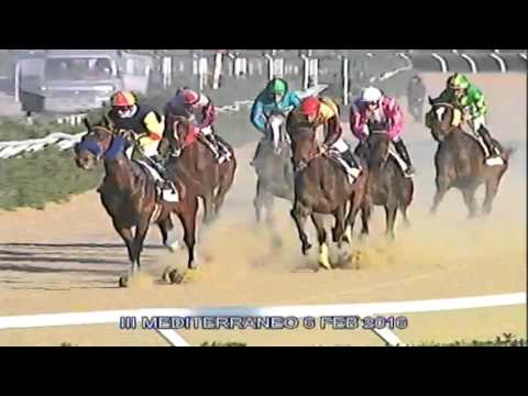 Galoppo Corse del 6 Febbraio 2016