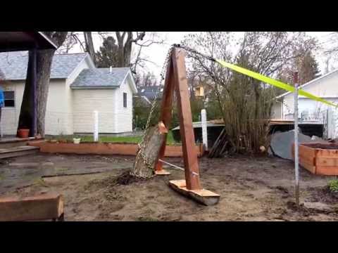 Pulling a Stump Using a Truck and Mechanical Advantage
