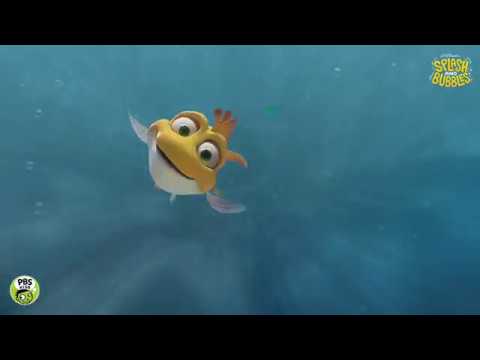 Splash and Bubbles - Catch A Current