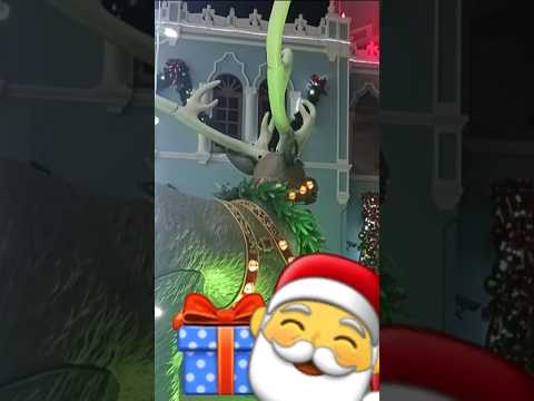 🇵🇷 santa #motivation #amor #fe