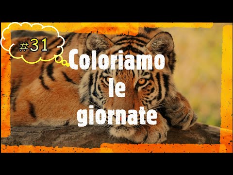 Imitiamo le andature degli animali 4° Parte - 31 -