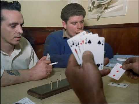 Look at Life Vol 01 Transport   Sea Horses 1962