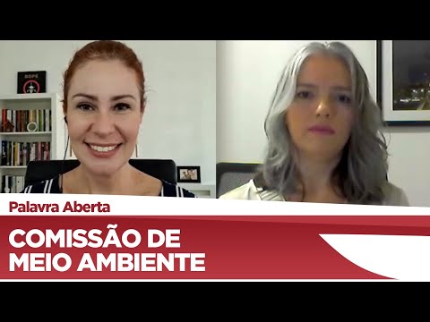 Carla Zambelli aponta prioridades da Comissão de Meio Ambiente - 09/04/21