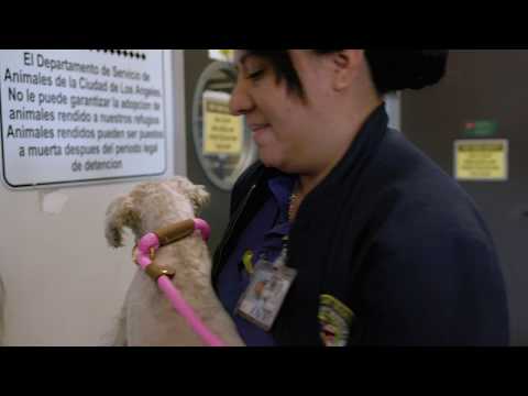 download lagu mp3 mp4 Beauty For Good Gala, download lagu Beauty For Good Gala gratis, unduh video klip Beauty For Good Gala