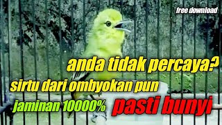 Download lagu suara pancingan sirtu cipoh sirdung yang macet bunyi jamin 1000% mp3