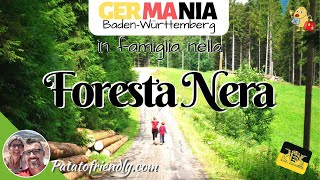 Vacanza nella Foresta Nera con i bambini: da vedere in Germania