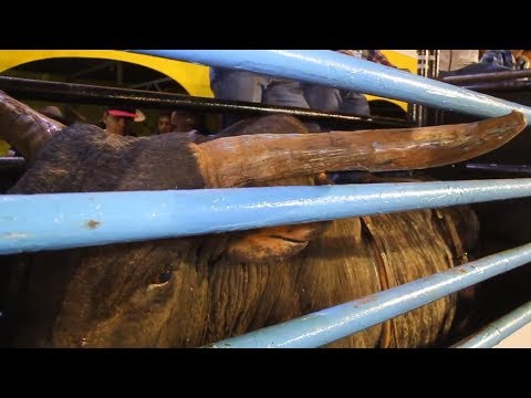 Lucas Divino x Zapata (Cia. Bela Vista) - Momentos Históricos CRP