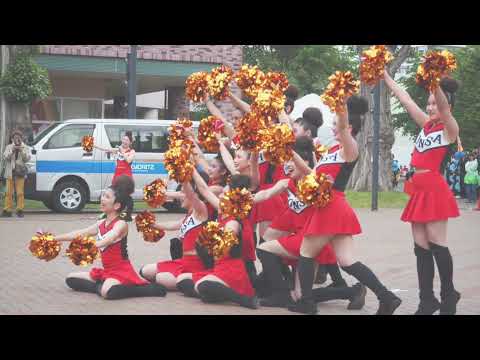 🎉 YOSAKOIコンサフリーク 2025年演舞 - コンサフリーク公式演舞映像 🎉