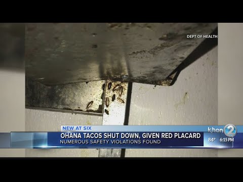 Ohana Tacos shut down