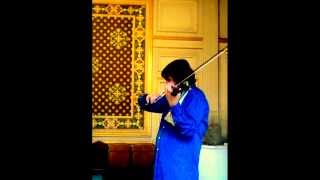2014 Kreisler- Recitative and Scherzo -Radu Bitica Violin