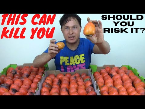 It's True. Persimmons Can Kill You. Should You Risk Eating Them?