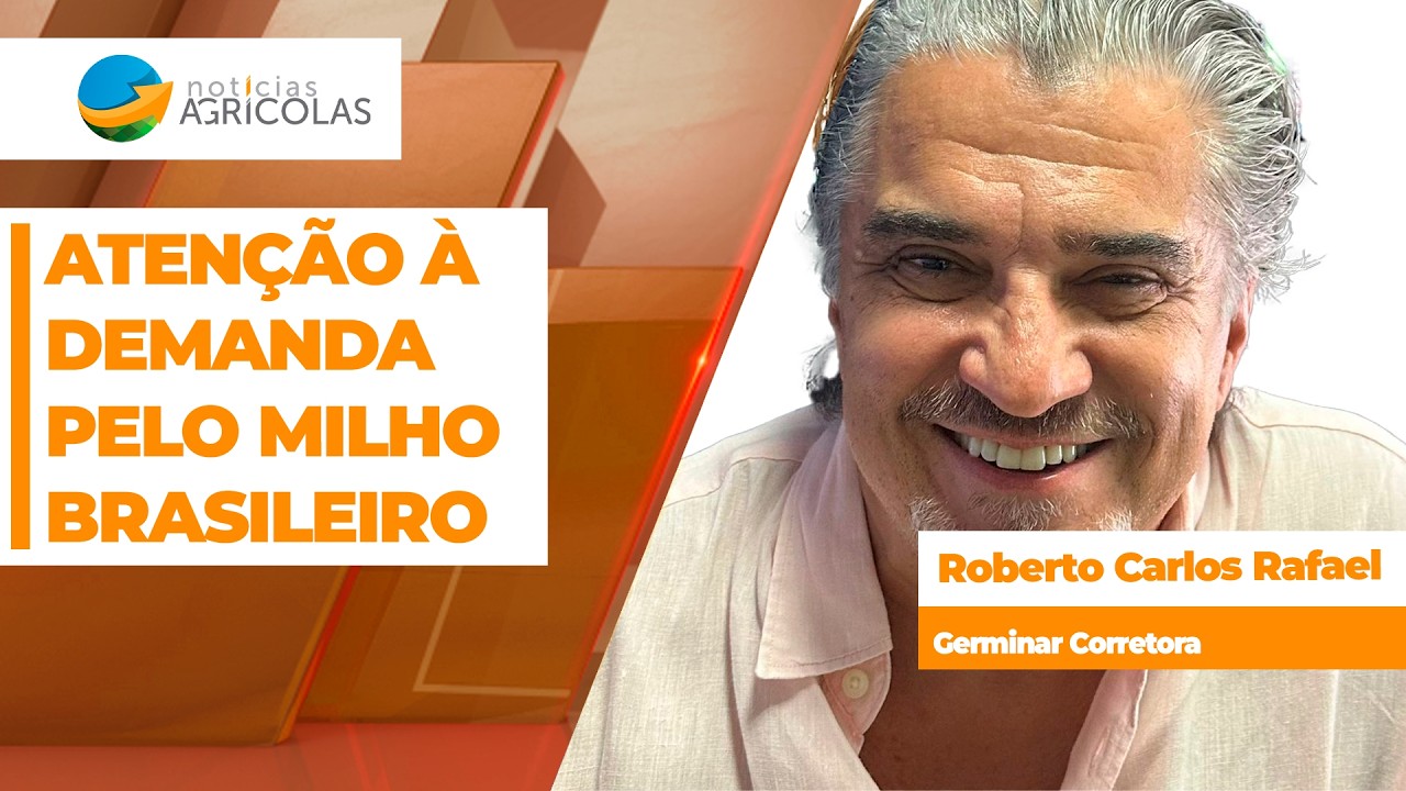 Milho brasileiro segue bastante demanda, com força do consumo interno; exportações podem melhorar