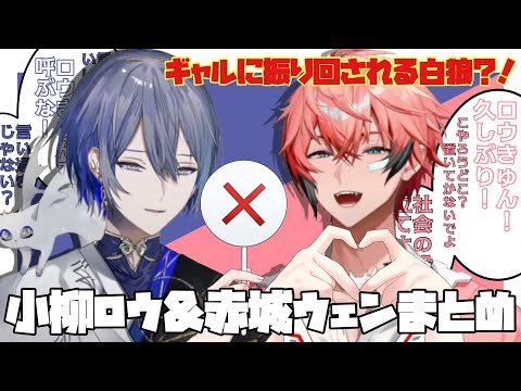 振り回すギャルと振り回される白狼！赤城ウェンと小柳ロウ｢ぎゃうるふ｣まとめ【にじさんじ/赤城ウェン/小柳ロウ/ぎゃうるふ】