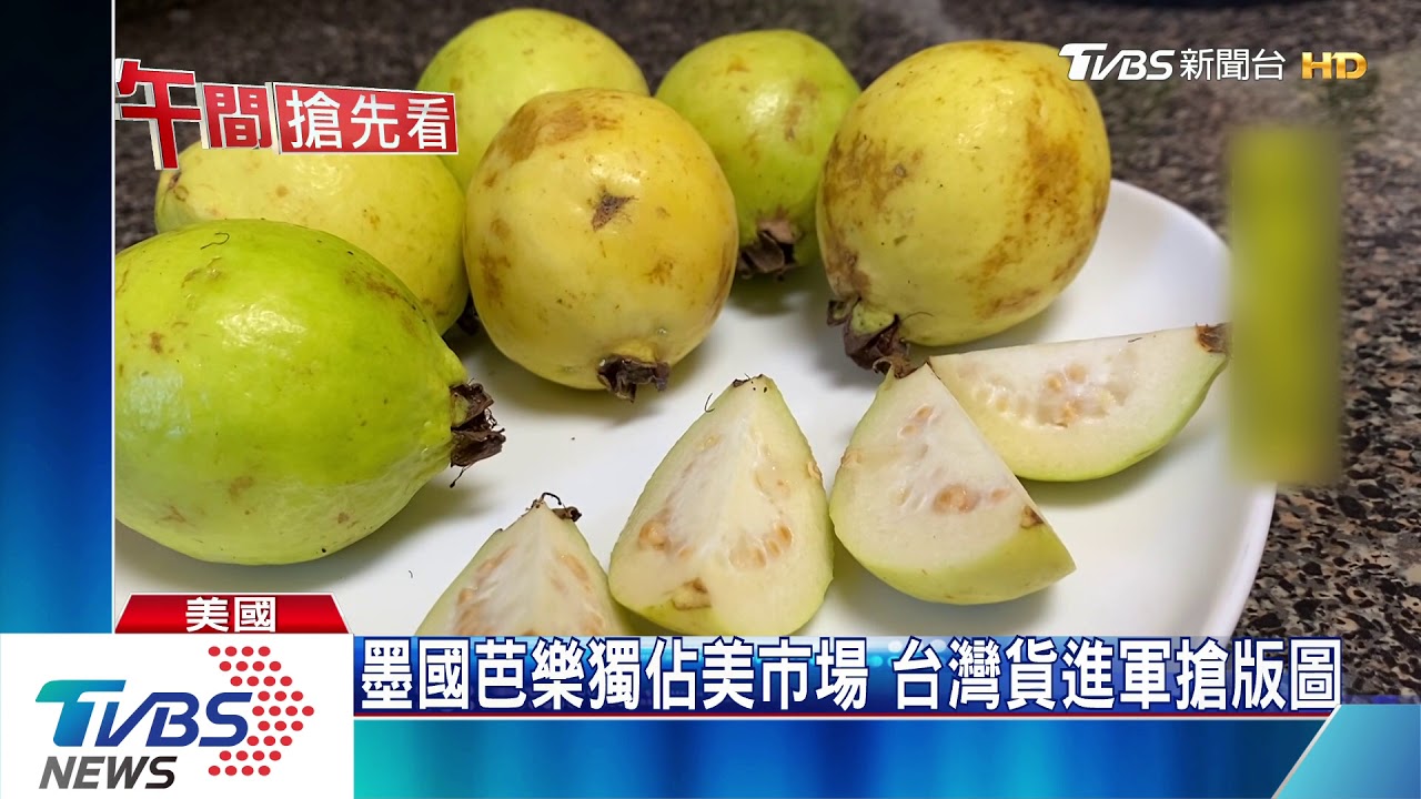 美准台灣芭樂進口 最快年底進軍美國市場