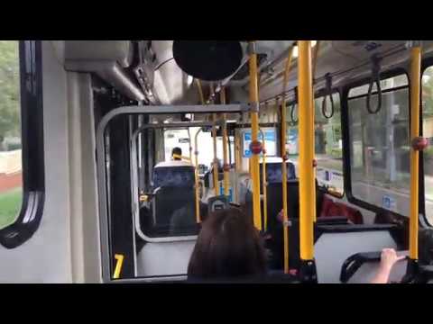 Transit Systems Sydney 2469 ST - Scania K280UB (ZF Ecomat)