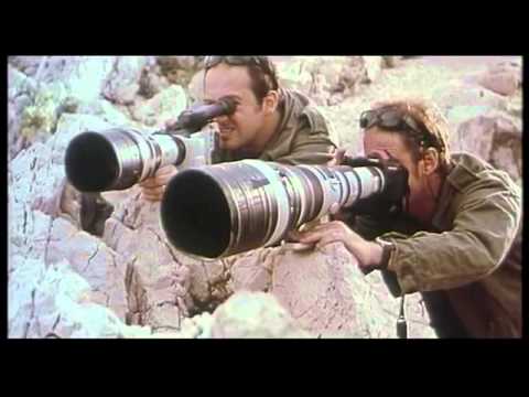 Paparazzi (1997) bande annonce