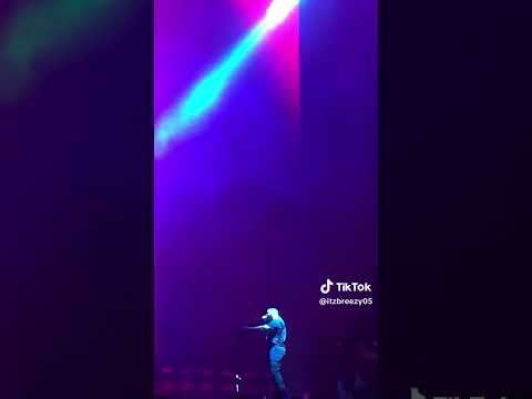 we need another DRIZZY X BREEZY song #shorts #chrisbrown #breezy #1111