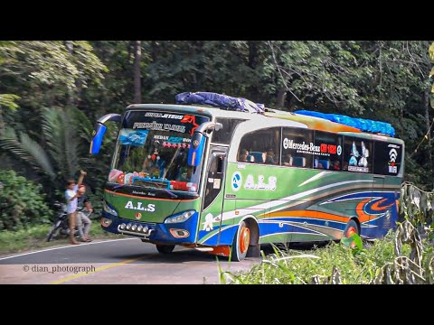 Lagu Tapsel Urat Nadi Remix Versi Bus ALS & Satu Nusa || Lagu Mandailing Terpopuler