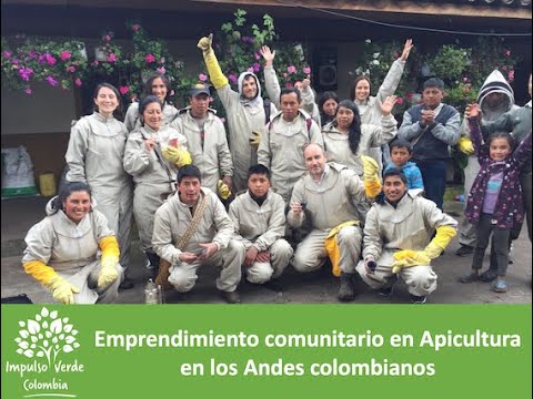 Emprendimiento comunitario en apicultura - Fundación Impulso Verde Colombia