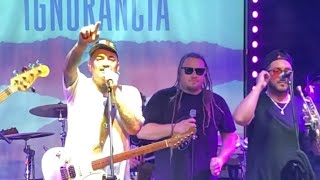 Gondwana - Ignorancia 