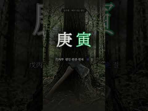 나무를 베는 도끼 | 경인(庚寅) 일주