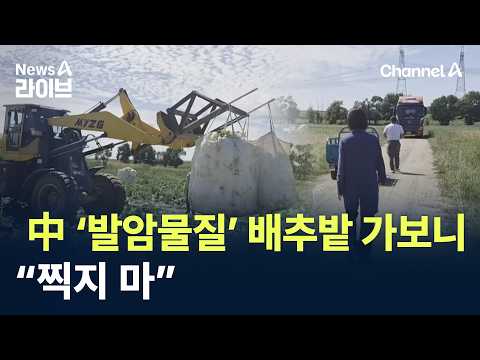 아이콘