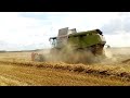 AGRO GÁRDA ZRT CLAAS LEXION CLAAS TUCANO