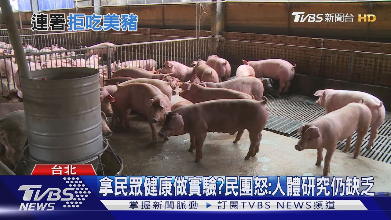 瘦肉精證實有毒!昔反馬進口美牛 專家:台灣有權說不