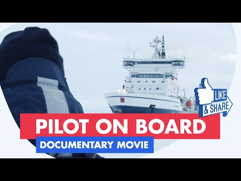 Maritime professionals at work - Pilot on Board Documentary Movie ⚓️