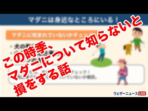 マダニの巣はどこにあるのでしょうか？庭や家ではどんな感じですか？それをどうするか？  庭園