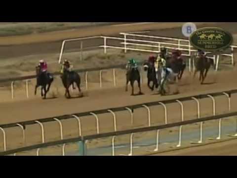 SITHELA : 2010 READY TO RUN GRADUATE