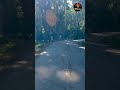 D RD